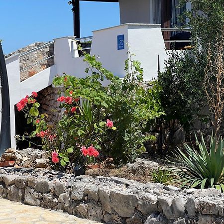 Holiday Home Rusticana***Sali, Dugi Otok Ngoại thất bức ảnh